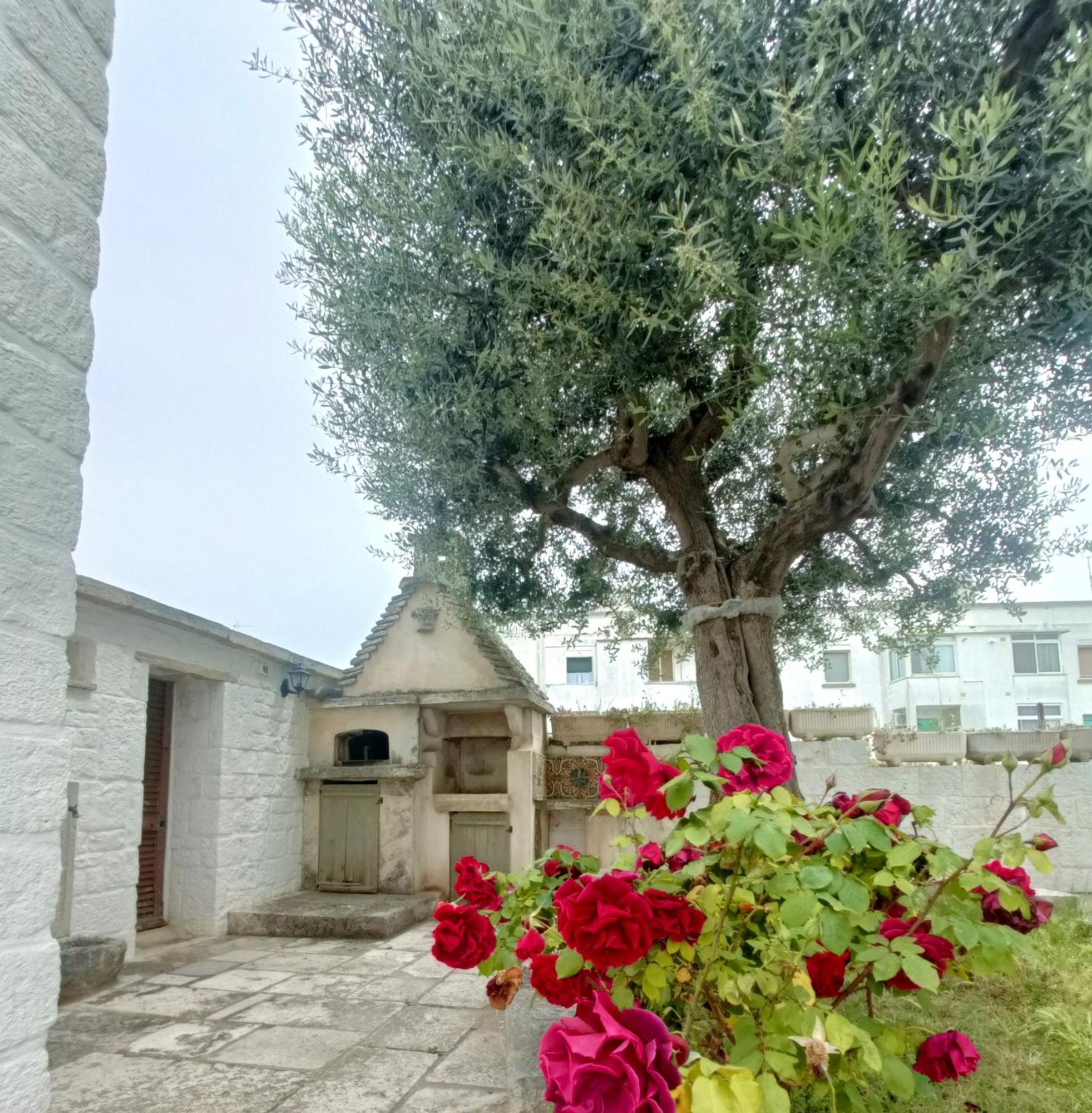 Trulli Soave Villa Alberobello Eksteriør billede